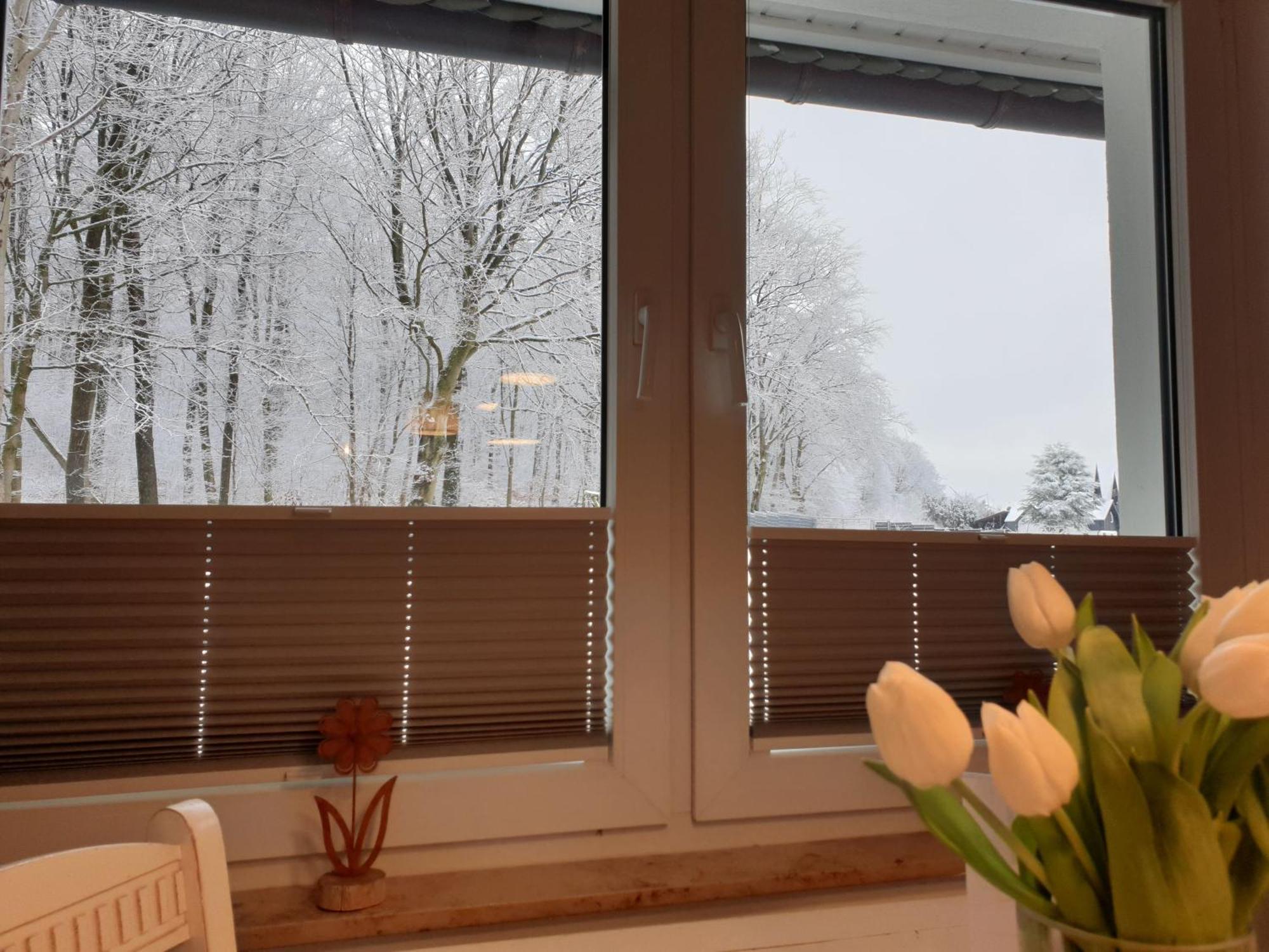 Fewo Winter In Der Villa Waldrand Mit Zwei Balkonen Bad Wunnenberg Ngoại thất bức ảnh