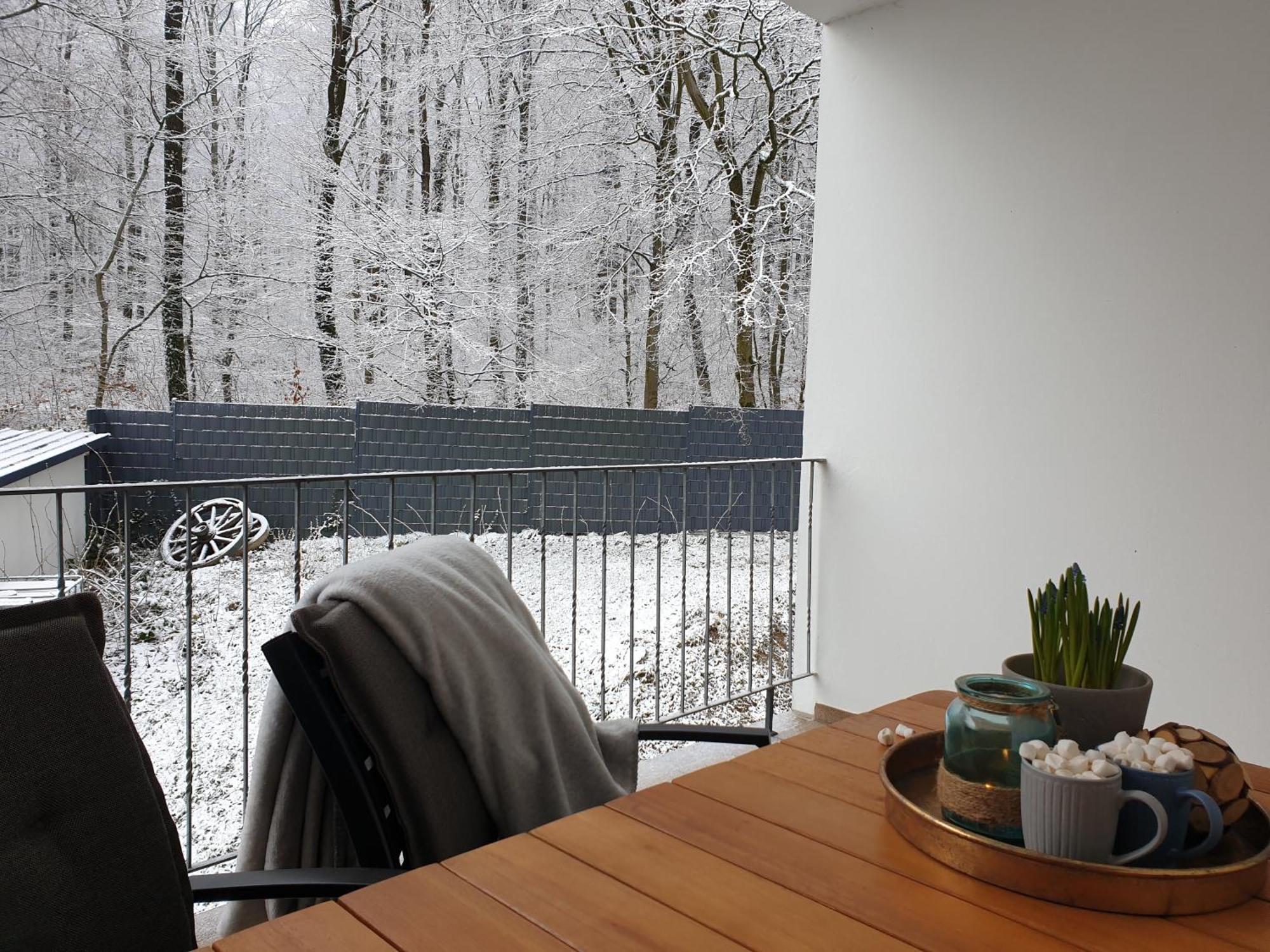 Fewo Winter In Der Villa Waldrand Mit Zwei Balkonen Bad Wunnenberg Ngoại thất bức ảnh